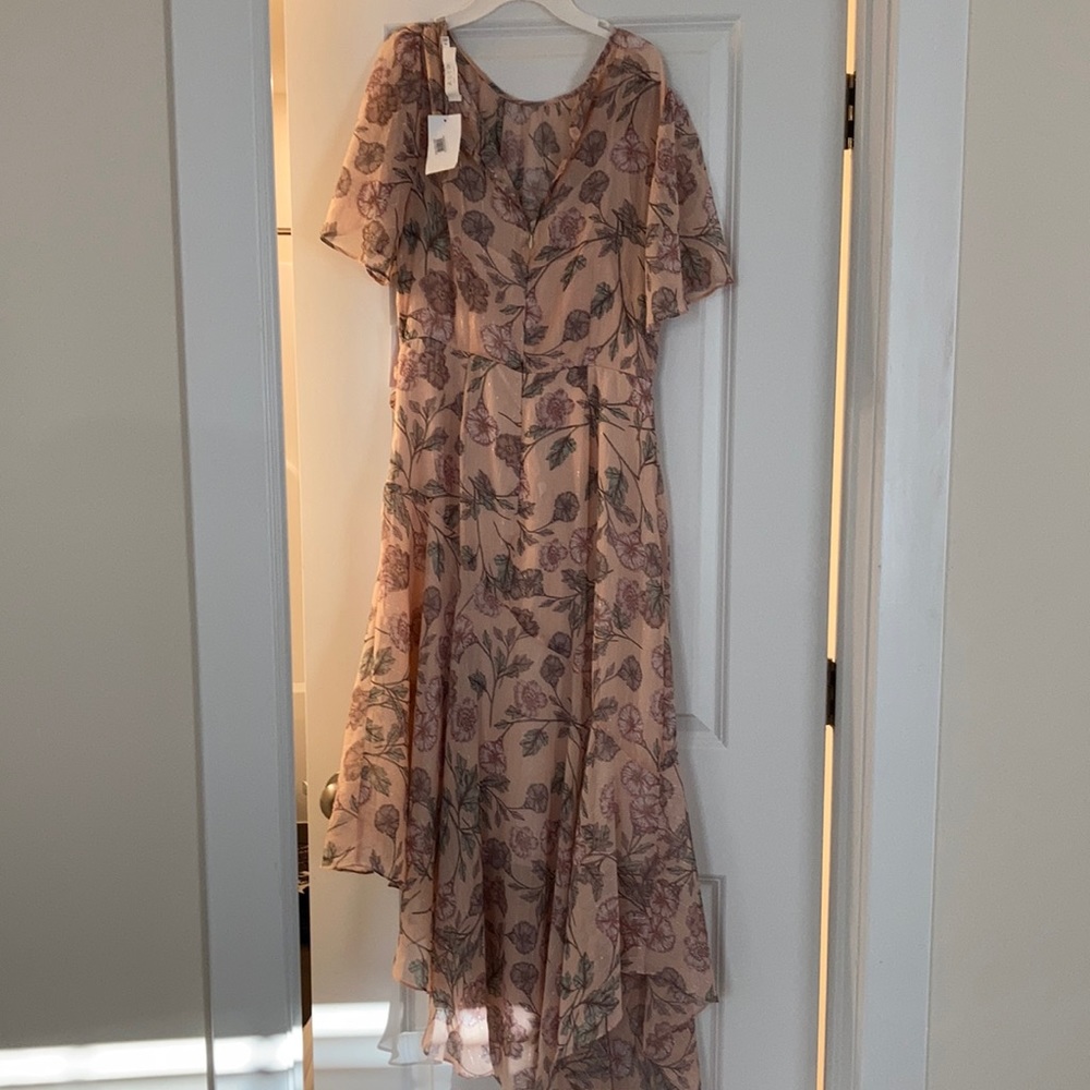 Beautiful Astr dress